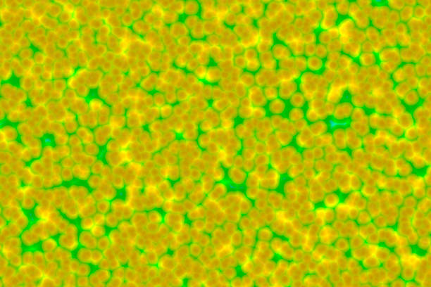 closeup of photo, computer generated images
