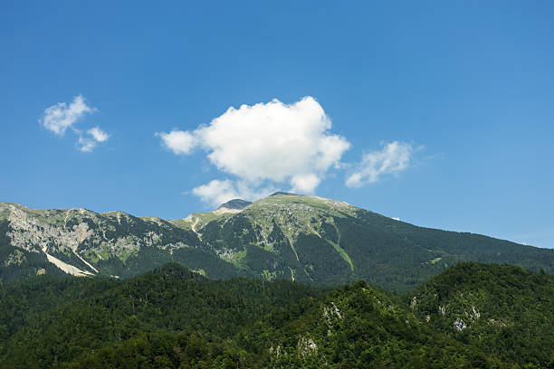 Mountain range with green forested slopes under clear blue sky with lonely cloud and empty space for text or design project. wild summer mountain nature and travel themes