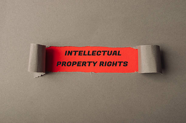istock Intellectual property rights message on torn paper with gray background and bold typography 2227403534