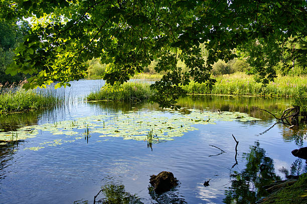 istock Irish Lake Scene with Reflections 2227404825