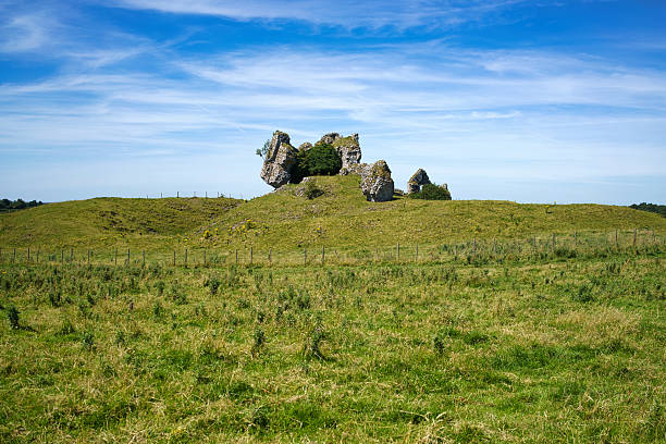 Ancient ruins of a castle in a lush green field, under a bright blue sky in Ireland.