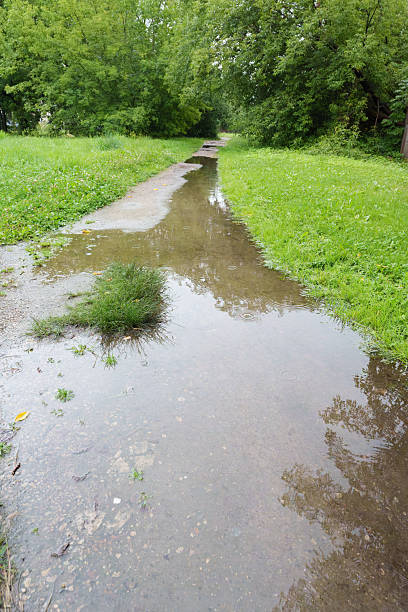 istock Water Puddle In Green Meadow After Rain Nature Reflections 2227405232