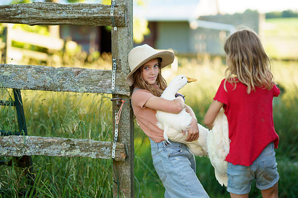 Children enjoying a natural rural setting on a family farm, caring for ducks and experiencing farm life among greenery and fresh air.