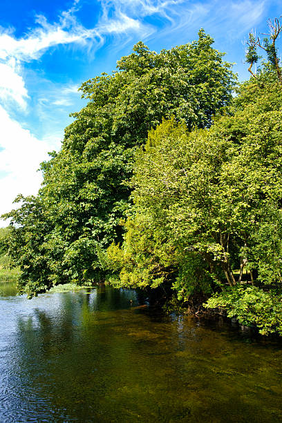 istock Irish River Scene with Lush Trees 2227405952
