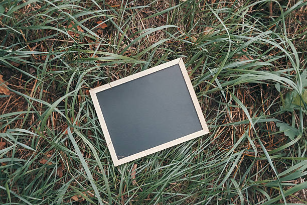 istock Blank chalkboard mock up on green grass background with natural elements surrounding it 2227408193
