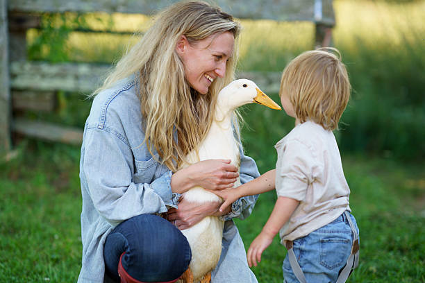 A heartwarming scene of a mother and her child interacting with a gentle duck, symbolizing warmth, care, and connection amidst natural farm surroundings, highlighting themes of family, rural life, and kindness.