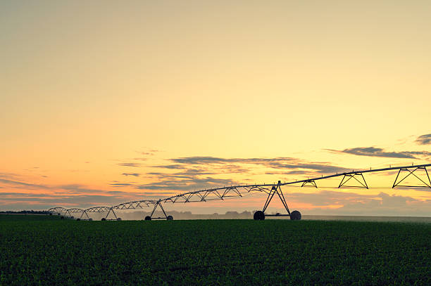 istock Agricultural irrigation system watering corn field 2227409152