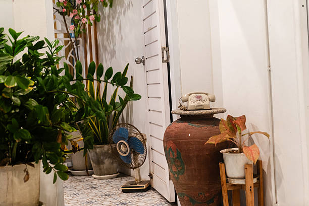 istock Cozy Indoor Corner with Plants and Decor 2227410335