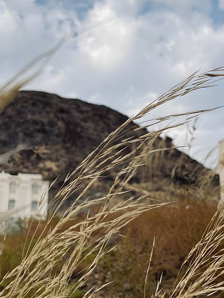 istock A photo of a mountain with a cloudy sky 2227410746