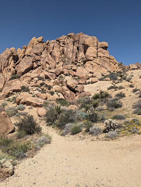 istock Extreme rock features in Joshua Tree national park 2227411518