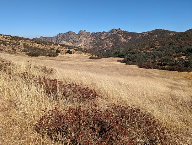 istock Pinnacles National Park in a fall meadow 2227411523