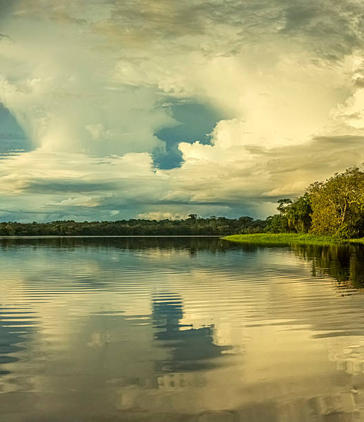 istock Beautiful scenary in Tarapoto lakes,  Amazonas river, Colombia 2227414655