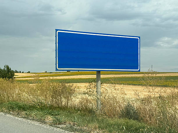 Empty road sign on the roadside with green field and cloudy sky background