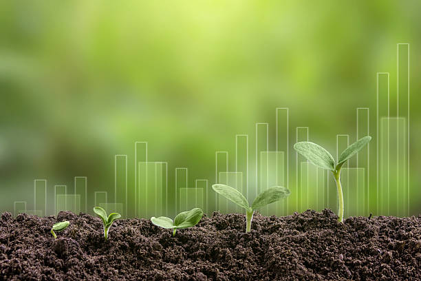 istock Seedling are growing from soil with business growth 2227417021