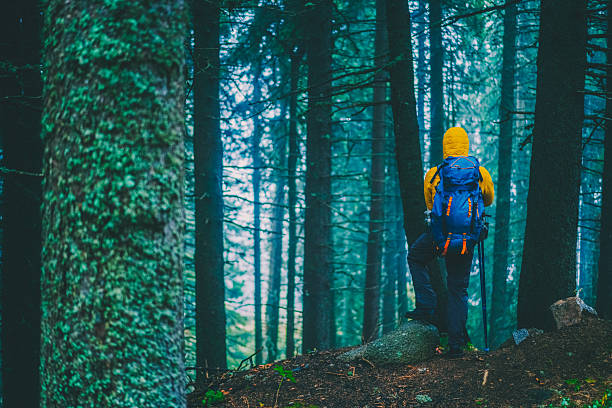 Solo male hiker wearing a bright yellow jacket and a large blue backpack stands in a dense mountain forest, taking in the tranquil atmosphere. Surrounded by tall pine trees and cool, misty light, he rests with one foot on a rock, ready to continue his exploration. The scene captures the spirit of solitude, adventure, and immersion in the natural wilderness.