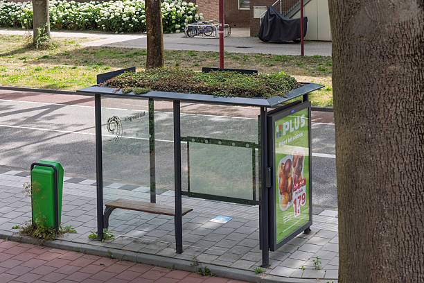 A green-roofed bus stop, featuring a wooden bench and a green trash can, located on a sidewalk next to a road. Nieuwegein, Netherlands. 15 July 2025.