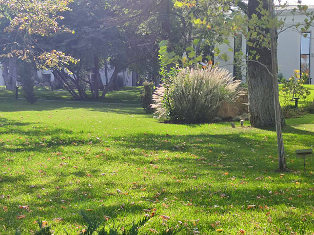 istock Autumn park on a sunny day, tinted photo 2227431096