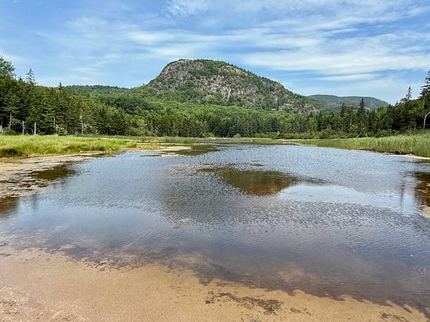 Beehive Trail Hike - Acadia National Park - Maine