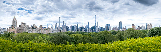 istock New york city skyline seen from Central Park 2227433761