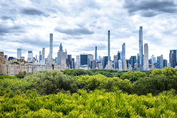istock New york city skyline seen from Central Park 2227434183