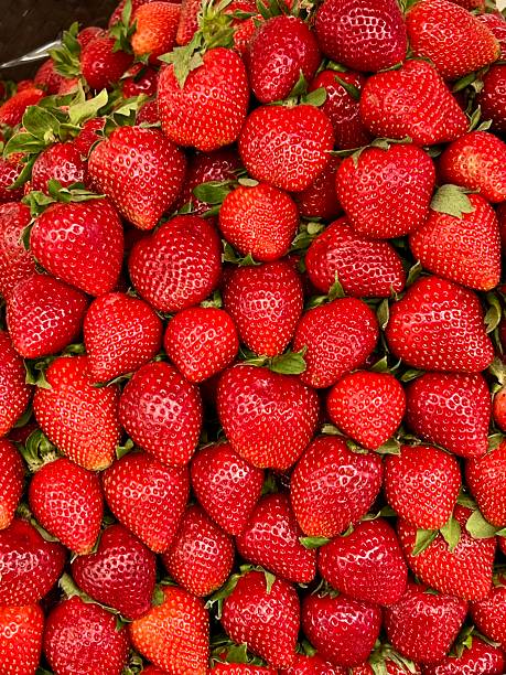 Fresh, ripe red strawberries
