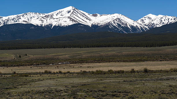Sawatch Range dominates landscape. Vast meadows stretch across Lake County, Colorado.