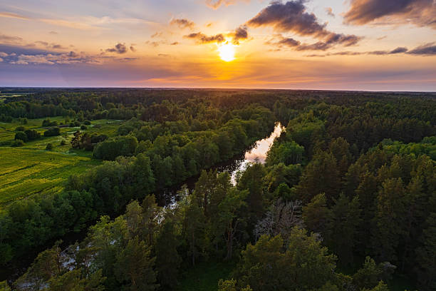 istock beautiful summer sunset over forest and river 2227445365