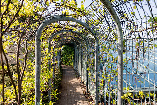 View of a series of iron bars connected as a gateway.