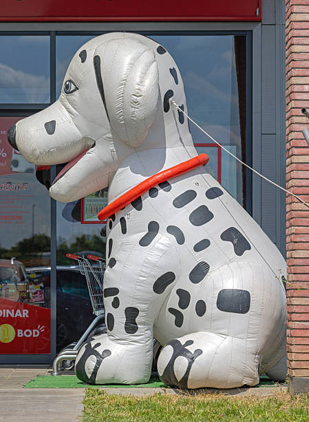 Belgrade, Serbia - May 14, 2025: Close up Shot of Large Inflatable Dalmatian Dog in Front of Pet Shop at Strip Mall Forum Park Shopping Centre Zemun.