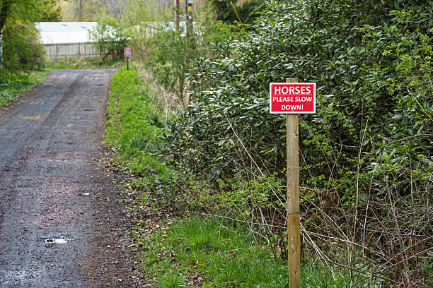 istock Horses Please Slow Down warning sign on country lane 2227453913
