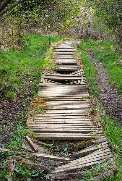 Decaying wooden boardwalk with broken and missing planks runs through a woodland area. Surrounded by grass, mud, and spring vegetation, the path is in need of repair.