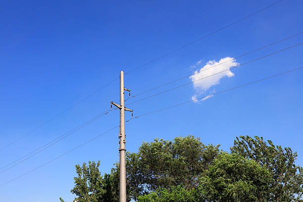 istock Electric steel rod and green plants 2227454821