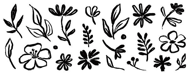 Flower brush paint stroke set. Hand drawn floral flower, leaf graffiti elements in brush paint silhouette set. Vector black ink stroke doodle floral texture sketch spring pattern. Vector illustration