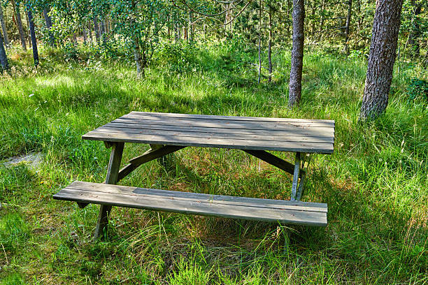 A wooden picnic table situated amidst vibrant green forest trees and soft grass. Perfect for outdoor gatherings, this picturesque setting glows with natural light enhancing its tranquil charm.