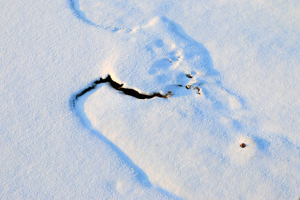 mark in the snow and ice