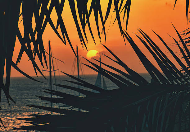 A Sunset on a Caribbean Island
