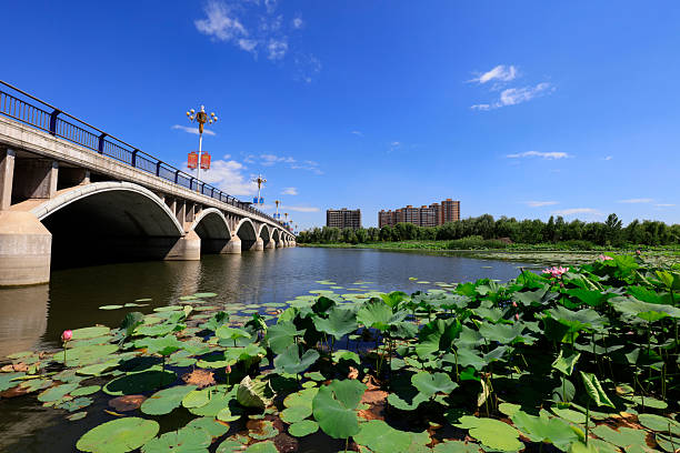 istock Bridges and Lotus Under the Blue Sky, China 2227460604