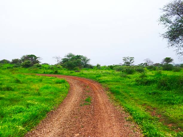 istock Dirt road pass through grassland 2227463881
