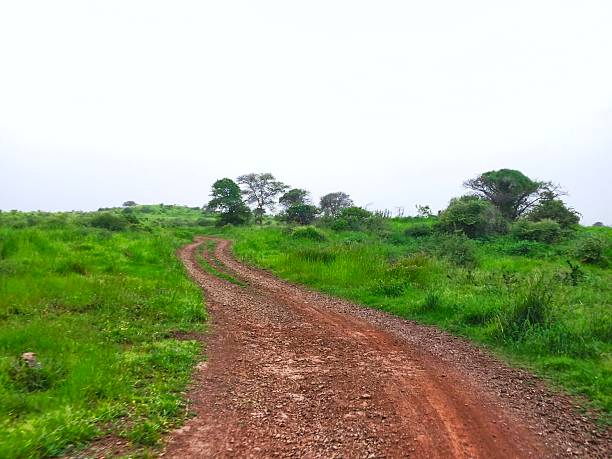 istock Dirt road through a lush green grassland 2227463894