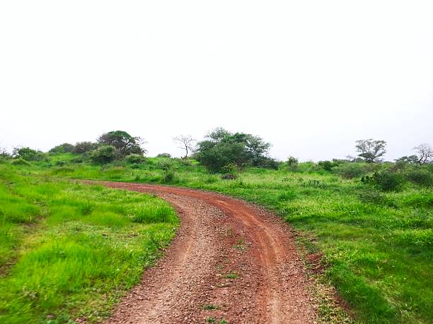 istock Dirt road through a lush green grassland 2227463895