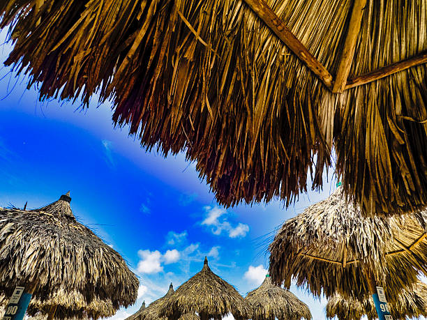 Palapas on the beach in Aruba