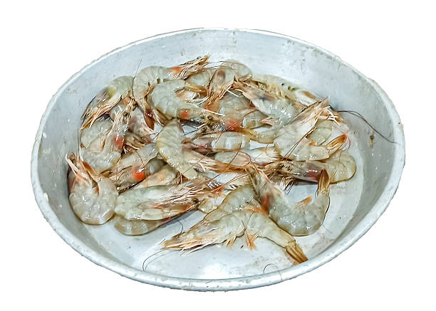 istock shrimp on an aluminum plate on a transparent background 2227466336