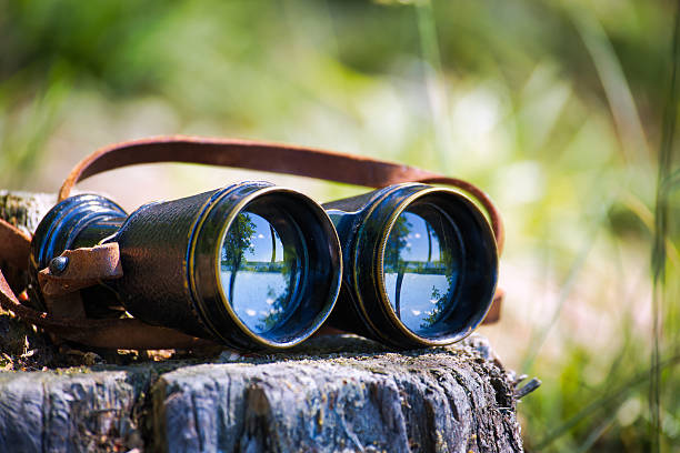 istock A pair of vintage binoculars rests on a weathered tree stump with a scenic view. 2227472383