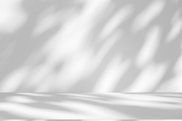 istock Wall interior background, studio and backdrops show products.with shadow from window color white . background for text insertion and presentation product 2227477900