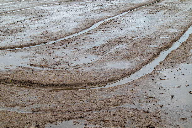 Abstract view of muddy field covered with water flow marks and soil textures. Suitable for backgrounds, farming concepts, and environmental education visuals.