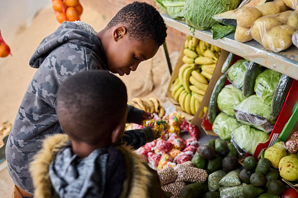 Boys checking out organic fruits and vegetables at market stall. Siblings are shopping outdoors. They are talking with each other.
