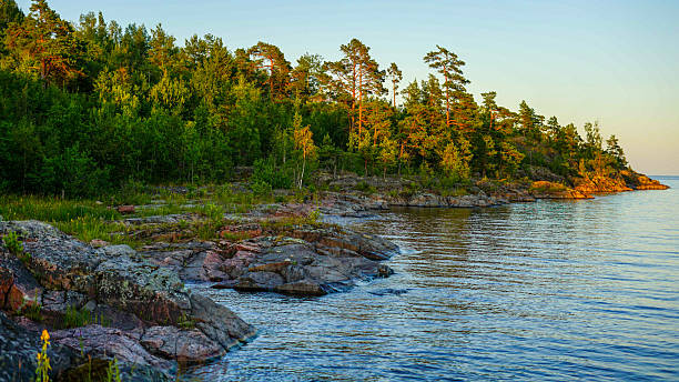 istock Rocky Shoreline and Forest at Sunset 2227489879
