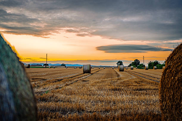 Straw bales, agriculture Castilla y León - Spain