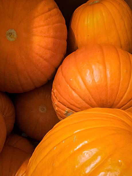 Yellow pumpkin, full frame close up