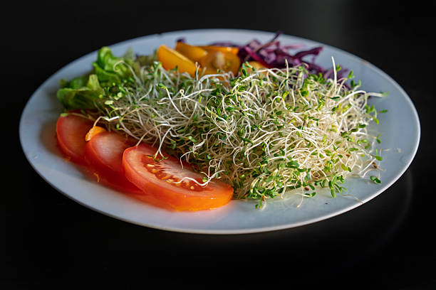 Colorful Fresh Salad with Alfalfa Sprouts and Vegetables